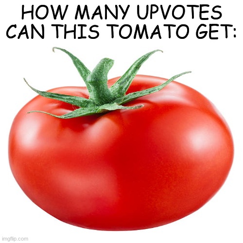 How many? | HOW MANY UPVOTES CAN THIS TOMATO GET: | image tagged in tomato | made w/ Imgflip meme maker