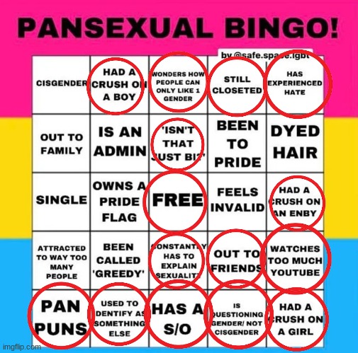 bingo woohoo | image tagged in pansexual bingo | made w/ Imgflip meme maker