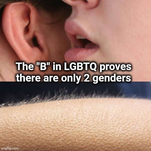 Listen up , Bipeds | The "B" in LGBTQ proves there are only 2 genders | image tagged in whisper and goosebumps,roll safe think about it,funny because it's true,and that's a fact | made w/ Imgflip meme maker