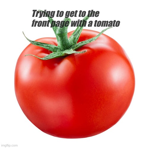 Trying to get to the front page with a tomato | Trying to get to the front page with a tomato | image tagged in literally a tomato | made w/ Imgflip meme maker