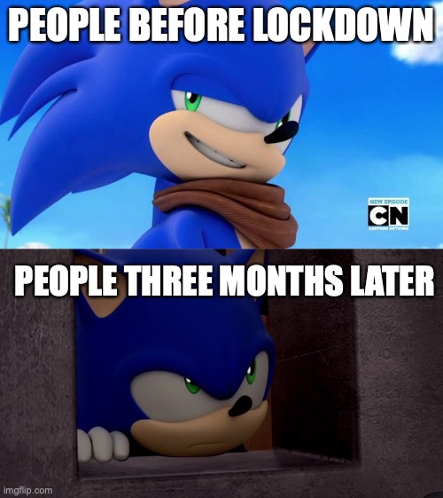 Literally to sum up lockdown attitude by sonic | PEOPLE BEFORE LOCKDOWN; PEOPLE THREE MONTHS LATER | image tagged in sonic meme,sonic is not impressed - sonic boom | made w/ Imgflip meme maker