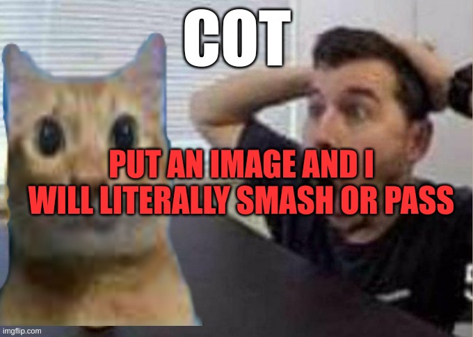 Guy Surprised By Cot | PUT AN IMAGE AND I WILL LITERALLY SMASH OR PASS | image tagged in guy surprised by cot | made w/ Imgflip meme maker