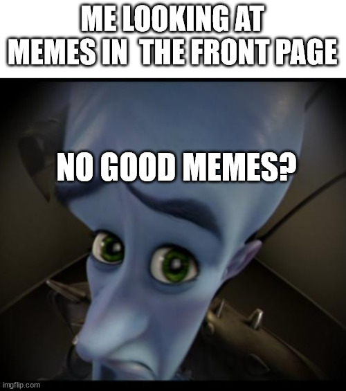 No good memes? | ME LOOKING AT MEMES IN  THE FRONT PAGE; NO GOOD MEMES? | image tagged in no bitches,imgflip meme,not a gif,front page memes,memes,funny | made w/ Imgflip meme maker