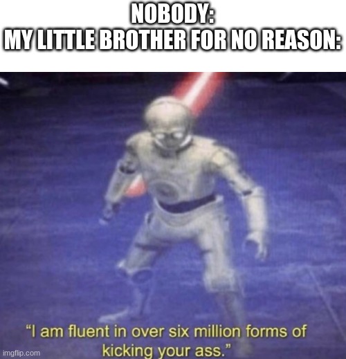 relatable? | NOBODY:
MY LITTLE BROTHER FOR NO REASON: | image tagged in i am fluent in over six million forms of kicking your ass | made w/ Imgflip meme maker