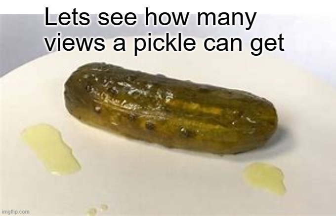 how many vews can a pickle get | Lets see how many views a pickle can get | image tagged in funny memes,food | made w/ Imgflip meme maker