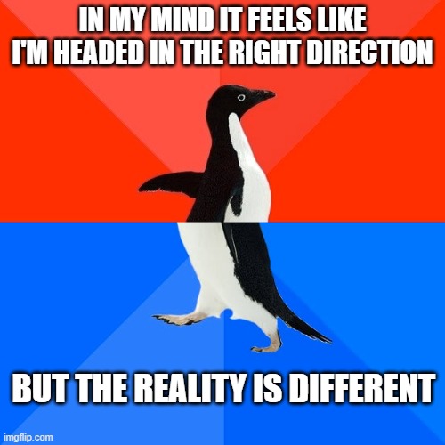 Socially Awesome Awkward Penguin Meme | IN MY MIND IT FEELS LIKE I'M HEADED IN THE RIGHT DIRECTION; BUT THE REALITY IS DIFFERENT | image tagged in memes,socially awesome awkward penguin | made w/ Imgflip meme maker