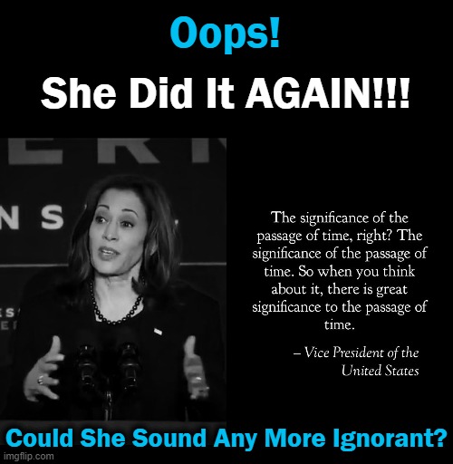 When Your Best Just Isn't GOOD ENOUGH!! | Oops! She Did It AGAIN!!! Could She Sound Any More Ignorant? | image tagged in politics,kamala harris,dumb people,democrat,embarrassing,should have kept your day job | made w/ Imgflip meme maker