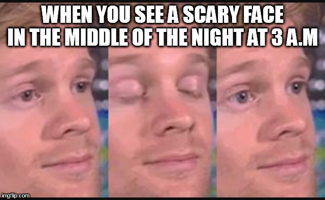 Blinking guy | WHEN YOU SEE A SCARY FACE IN THE MIDDLE OF THE NIGHT AT 3 A.M | image tagged in blinking guy | made w/ Imgflip meme maker