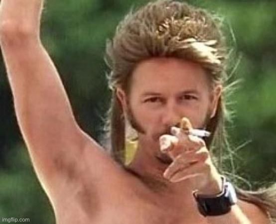 Joe dirt | image tagged in joe dirt | made w/ Imgflip meme maker