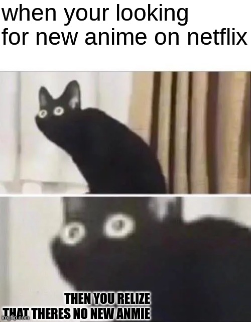 Oh No Black Cat | when your looking for new anime on netflix; THEN YOU RELIZE THAT THERES NO NEW ANMIE | image tagged in oh no black cat | made w/ Imgflip meme maker