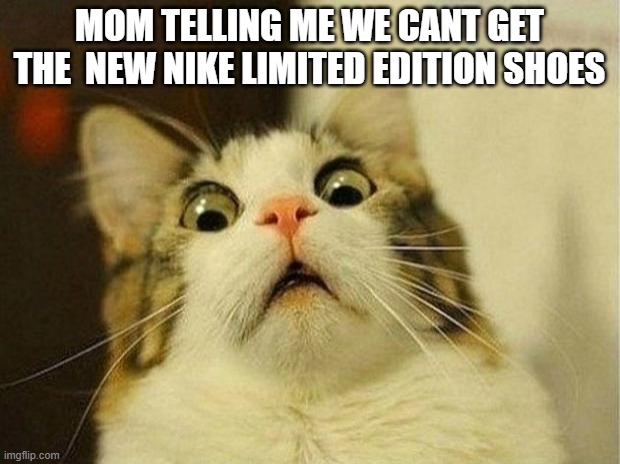 Scared Cat Meme | MOM TELLING ME WE CANT GET THE  NEW NIKE LIMITED EDITION SHOES | image tagged in memes,scared cat,funny,accurate,relatable,cats | made w/ Imgflip meme maker