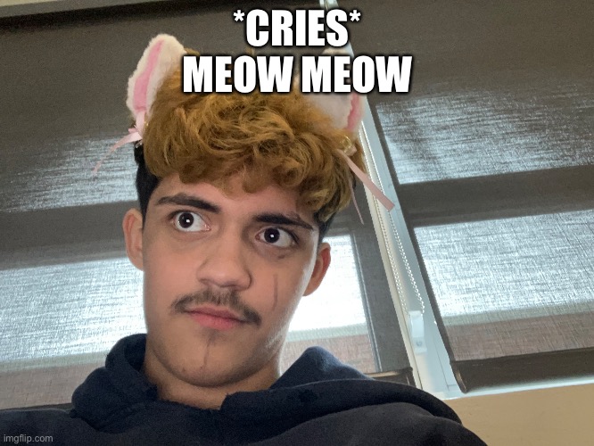 *CRIES*
MEOW MEOW | image tagged in sad | made w/ Imgflip meme maker