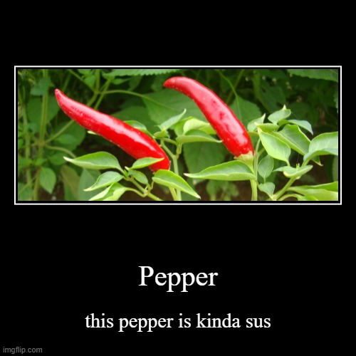 Sussy Pepper | image tagged in funny,demotivationals,pepper | made w/ Imgflip demotivational maker