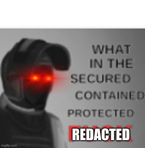 What in the scpF | REDACTED | image tagged in what in the scpf | made w/ Imgflip meme maker