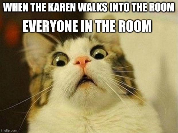 Scared Cat | EVERYONE IN THE ROOM; WHEN THE KAREN WALKS INTO THE ROOM | image tagged in memes,scared cat | made w/ Imgflip meme maker