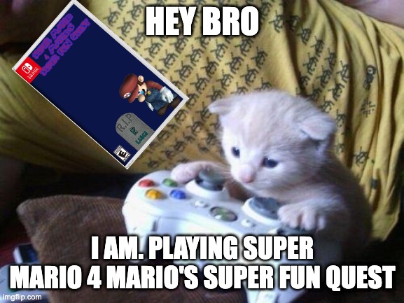 cute kitty on xbox | HEY BRO; I AM. PLAYING SUPER MARIO 4 MARIO'S SUPER FUN QUEST | image tagged in cute kitty on xbox | made w/ Imgflip meme maker