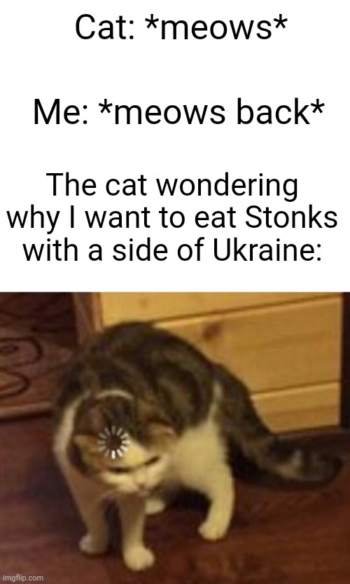 RUSSIA VS. UKRAINE VS. STONKS! ???? | Cat: *meows*; Me: *meows back*; The cat wondering why I want to eat Stonks with a side of Ukraine: | image tagged in loading cat,russia,ukraine,putin,stonks | made w/ Imgflip meme maker