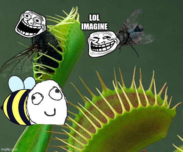 I turned the meme faces into insects | LOL IMAGINE | image tagged in venus flytrap | made w/ Imgflip meme maker