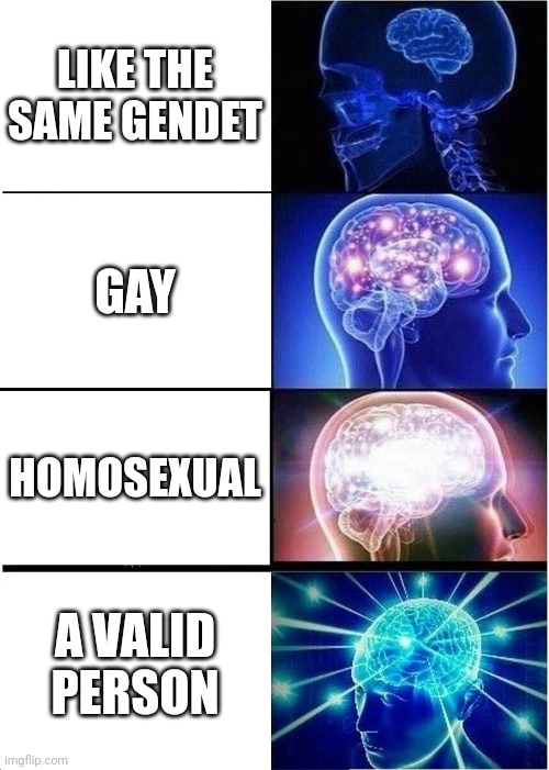 yes | LIKE THE SAME GENDET; GAY; HOMOSEXUAL; A VALID PERSON | image tagged in memes,expanding brain | made w/ Imgflip meme maker