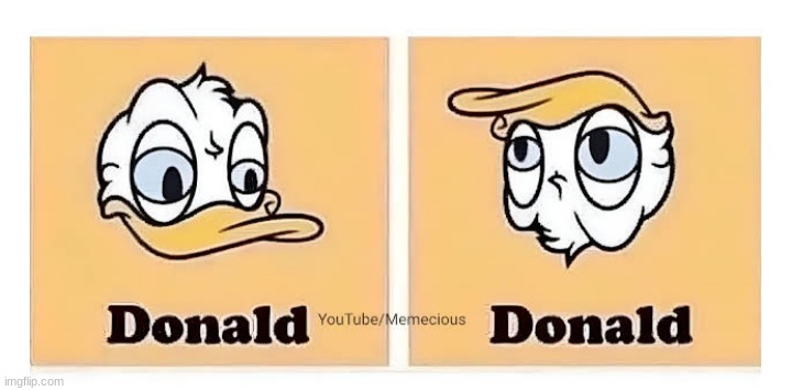 ah, yes. | image tagged in donald trump,donald duck | made w/ Imgflip meme maker