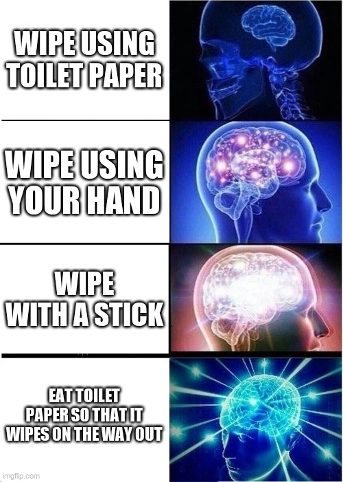 Expanding Brain Meme | WIPE USING TOILET PAPER; WIPE USING YOUR HAND; WIPE WITH A STICK; EAT TOILET PAPER SO THAT IT WIPES ON THE WAY OUT | image tagged in memes,expanding brain | made w/ Imgflip meme maker