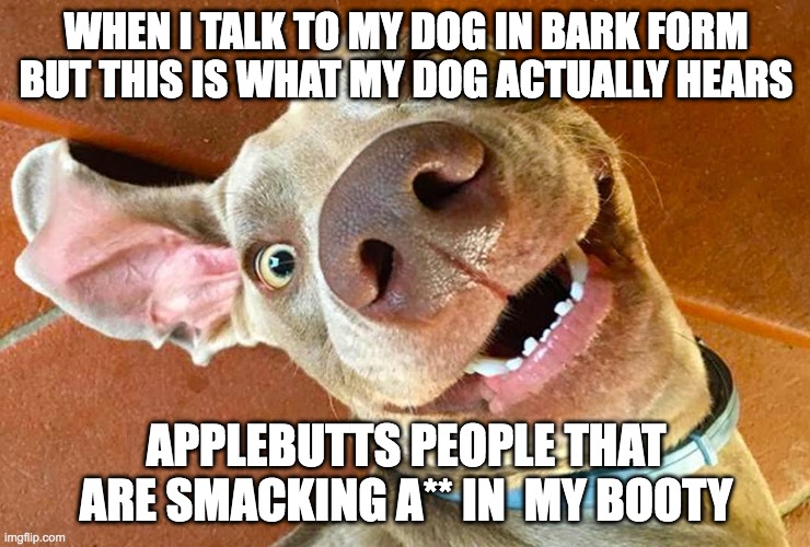 try to say actual sentences | WHEN I TALK TO MY DOG IN BARK FORM BUT THIS IS WHAT MY DOG ACTUALLY HEARS; APPLEBUTTS PEOPLE THAT ARE SMACKING A** IN  MY BOOTY | image tagged in dogs,funny,strange,random | made w/ Imgflip meme maker