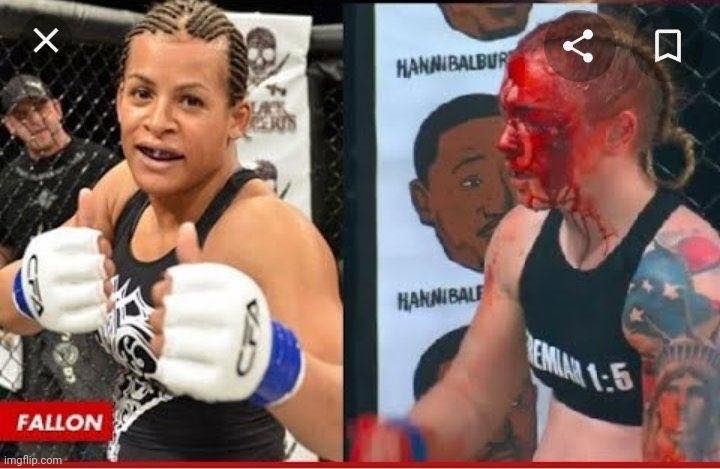 Fallon fox | image tagged in fallon fox | made w/ Imgflip meme maker