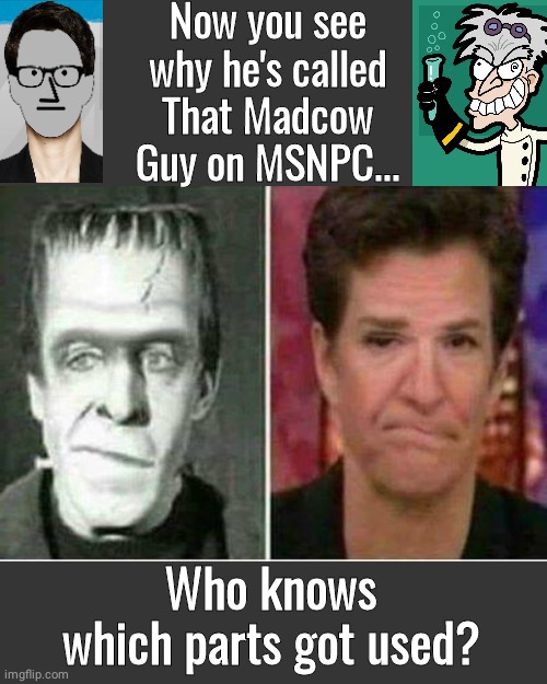 Herman Munster and Madcow | Now you see why he's called That Madcow Guy on MSNPC... Who knows which parts got used? | image tagged in grey blank temp | made w/ Imgflip meme maker