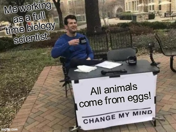 All animals come from eggs | Me working as a full time biology scientist:; All animals come from eggs! | image tagged in memes,change my mind,repost,reposts,science,the more you know | made w/ Imgflip meme maker
