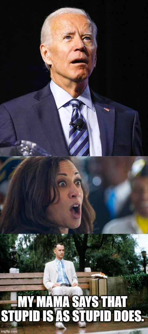 Used to think things like stupidity couldn't be spread like a virus. I was proven wrong. | MY MAMA SAYS THAT STUPID IS AS STUPID DOES. | image tagged in joe biden,kamala harriss,forrest gump,political meme,political humor | made w/ Imgflip meme maker