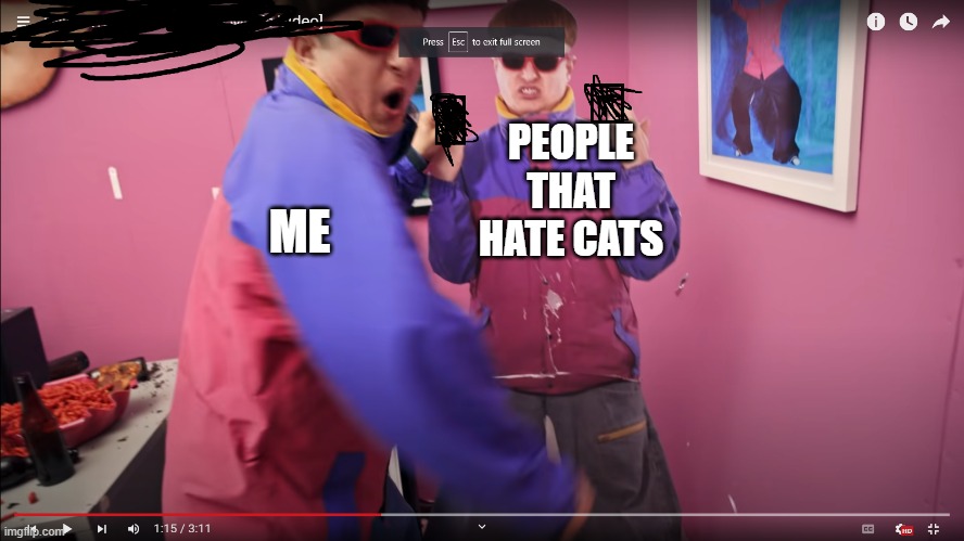 You stabbing ______ | PEOPLE THAT HATE CATS; ME | image tagged in you stabbing ______ | made w/ Imgflip meme maker