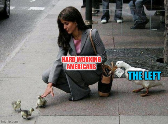 Duck stealing money | HARD WORKING AMERICANS THE LEFT | image tagged in duck stealing money | made w/ Imgflip meme maker