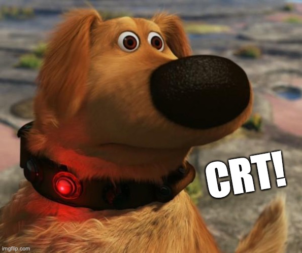 Dug the dog | CRT! | image tagged in dug the dog | made w/ Imgflip meme maker