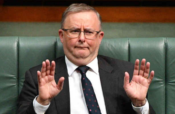 Anthony Albanese Blank Meme Template