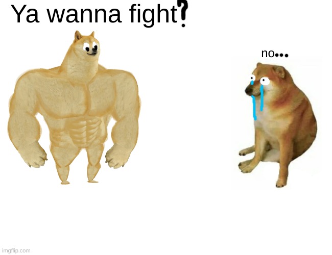 buff doge beating a wimp doge | Ya wanna fight; no | image tagged in memes,buff doge vs cheems | made w/ Imgflip meme maker