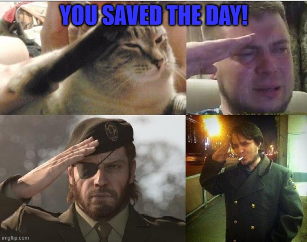 Ozon's Salute | YOU SAVED THE DAY! | image tagged in ozon's salute | made w/ Imgflip meme maker
