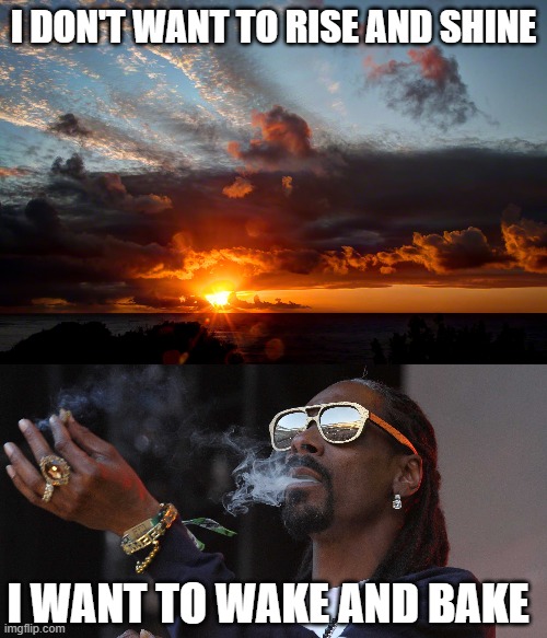 wake up | I DON'T WANT TO RISE AND SHINE; I WANT TO WAKE AND BAKE | image tagged in funny | made w/ Imgflip meme maker