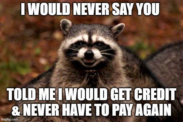 Credit Commando | I WOULD NEVER SAY YOU; TOLD ME I WOULD GET CREDIT & NEVER HAVE TO PAY AGAIN | image tagged in memes,evil plotting raccoon,omg karen,karen the manager will see you now,scammers | made w/ Imgflip meme maker