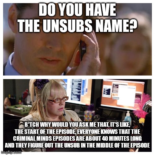Criminal minds | DO YOU HAVE THE UNSUBS NAME? B*TCH WHY WOULD YOU ASK ME THAT, IT'S LIKE, THE START OF THE EPISODE, EVERYONE KNOWS THAT THE CRIMINAL MINDS EPISODES ARE ABOUT 40 MINUTES LONG AND THEY FIGURE OUT THE UNSUB IN THE MIDDLE OF THE EPISODE | image tagged in criminal minds | made w/ Imgflip meme maker