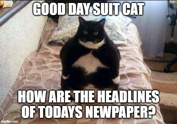 Chonki Babbie Hungy | GOOD DAY SUIT CAT HOW ARE THE HEADLINES OF TODAYS NEWPAPER? | image tagged in chonki babbie hungy | made w/ Imgflip meme maker