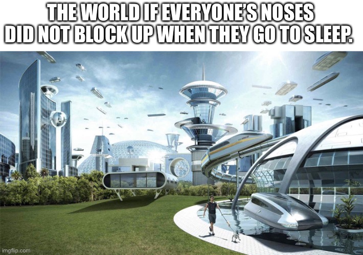 Most relatable meme ever (for me at least) | THE WORLD IF EVERYONE’S NOSES DID NOT BLOCK UP WHEN THEY GO TO SLEEP. | image tagged in the future world if | made w/ Imgflip meme maker