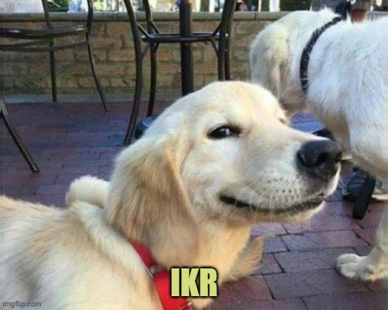 dog smiling | IKR | image tagged in dog smiling | made w/ Imgflip meme maker