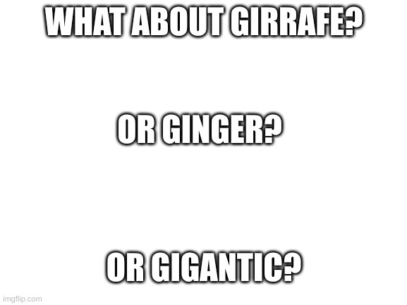its gif (soft g) (mod note: then pronounce shut up) | WHAT ABOUT GIRRAFE? OR GINGER? OR GIGANTIC? | image tagged in blank white template | made w/ Imgflip meme maker