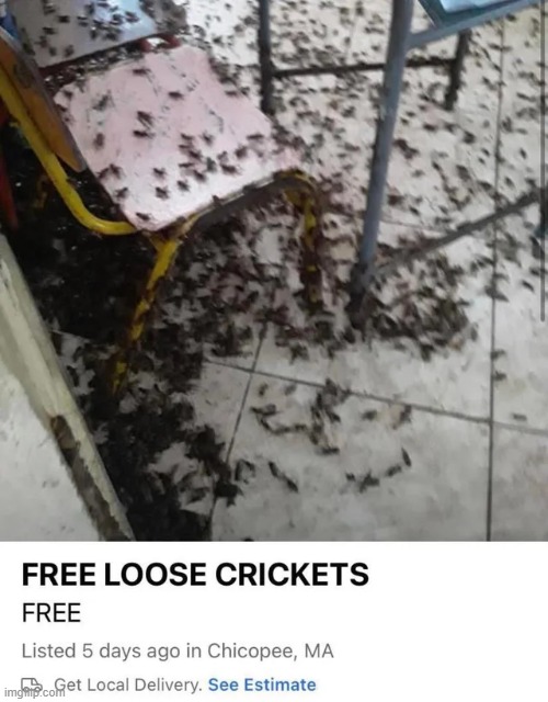 FREE | made w/ Imgflip meme maker