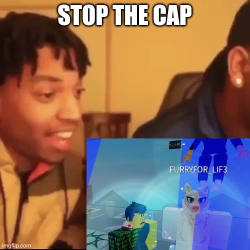 Mg face makes the most sense | STOP THE CAP | image tagged in stop the cap,roblox,furry | made w/ Imgflip meme maker