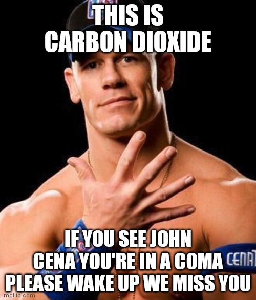 JOHN CENA | THIS IS CARBON DIOXIDE; IF YOU SEE JOHN CENA YOU'RE IN A COMA PLEASE WAKE UP WE MISS YOU | image tagged in john cena | made w/ Imgflip meme maker