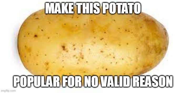 Potato | MAKE THIS POTATO; POPULAR FOR NO VALID REASON | image tagged in potato | made w/ Imgflip meme maker