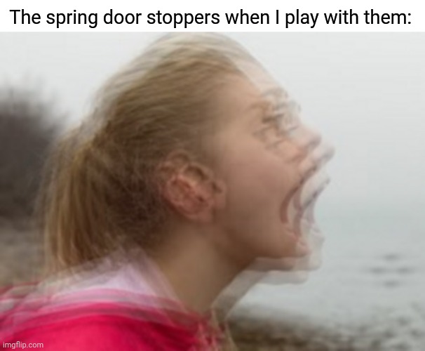 Me playing with the spring door stoppers: Such vibration | The spring door stoppers when I play with them: | image tagged in vibrations,spring door stoppers,door stopper,memes,meme,vibration | made w/ Imgflip meme maker