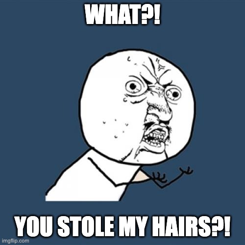 hairs | WHAT?! YOU STOLE MY HAIRS?! | image tagged in memes,y u no | made w/ Imgflip meme maker