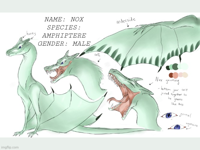 Nox ref sheet if anyone wanna draw him! (post it in the stream once your done :3) | NAME: NOX
SPECIES: AMPHIPTERE
GENDER: MALE | made w/ Imgflip meme maker